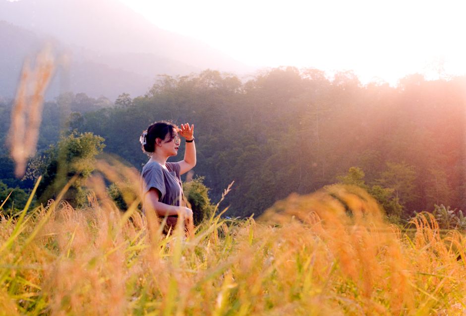자연 (nature wellness)