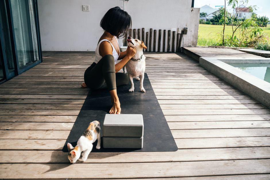 웰니스 라이프스타일 (wellness lifestyle)