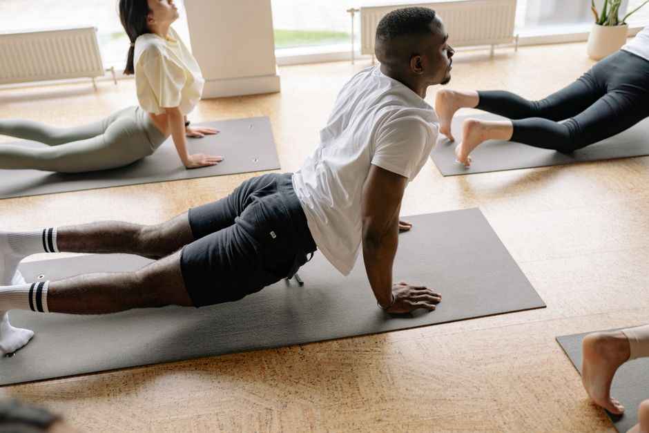 웰니스 라이프스타일 (wellness lifestyle)
